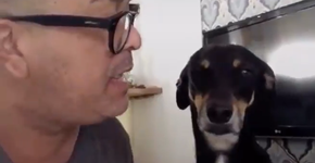 Bolsonara? Web tira sarro do presidente após vídeo de cadela viralizar