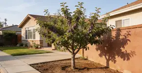 Foto: (Imagem sem texto alternativo disponivel ID [2725824])