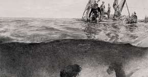 Artista cria desenhos gigantes utilizando grafite sobre papel