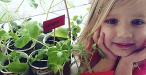 Foto: (Imagem sem texto alternativo disponivel ID [1101601])