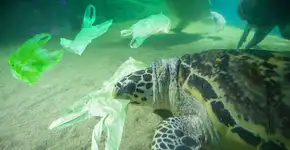 Brasil é 4º colocado no ranking de lixo plástico gerado no mundo