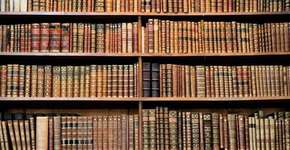 Foto: (Imagem sem texto alternativo disponivel ID [1829496])