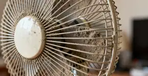 Foto: (Imagem sem texto alternativo disponivel ID [2674003])