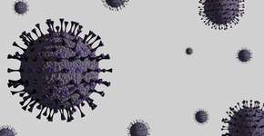 Foto: (Ladanifer/istock)