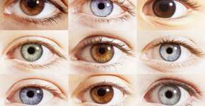 Foto: (Anthony Lee/istock)