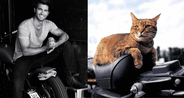 O blog é atualizado com postagens todos os dias (Imagem: Reprodução/Tumblr)