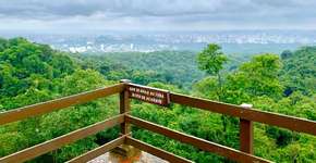 Parque da Cantareira é ótima opção para fazer trilhas em SP