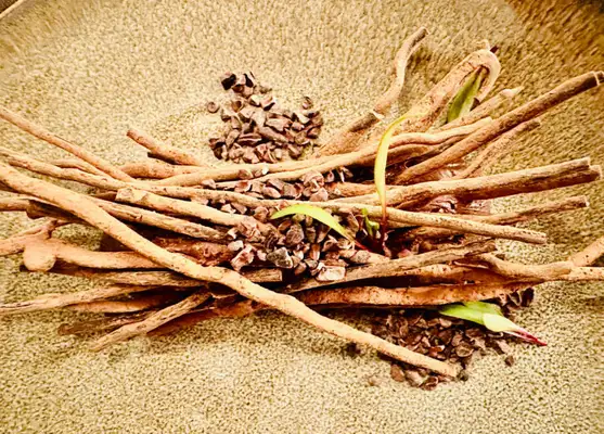 Sobremesa de mouse de chocolate amargo, vegana