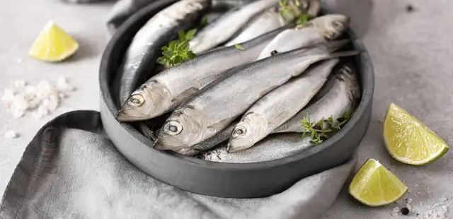 Sardinha na pressão: sabor e praticidade no mesmo prato