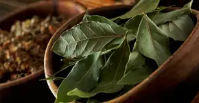 Foto: (hdagli/iStock)