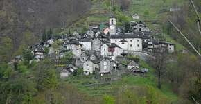 Foto: (Böhringer Friedrich/Wimiedia Commons)