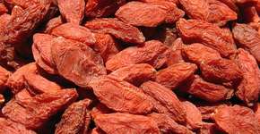 Goji berry ajuda a emagrecer e melhora o sistema imunológico