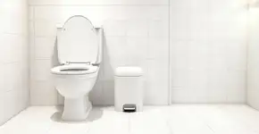 Demorei muito para entender por que o papel higiênico usado não deve ser jogado dentro do vaso sanitário