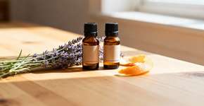 Cheirar isso por 5 minutos pode mudar completamente seu dia