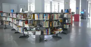 Foto: (Imagem sem texto alternativo disponivel ID [2247182])