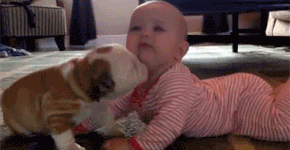 Foto: (Imagem sem texto alternativo disponivel ID [1612967])