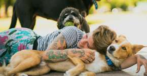 Dia Mundial dos Animais celebra a paz e o amor por todos os seres