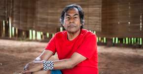 Ocupação Ailton Krenak