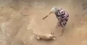 Foto: (Imagem sem texto alternativo disponivel ID [1114751])