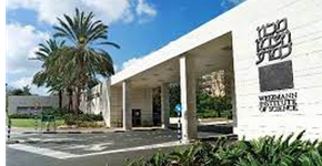 Foto: (Divulgação)