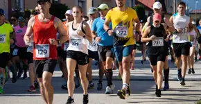 Foto: (Imagem sem texto alternativo disponivel ID [2614414])