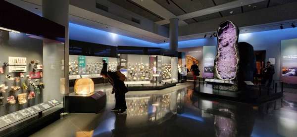 Museu Americano de História Natural