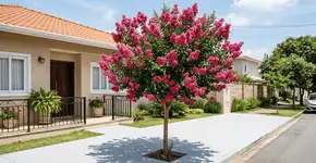 Foto: (Imagem sem texto alternativo disponivel ID [2752723])