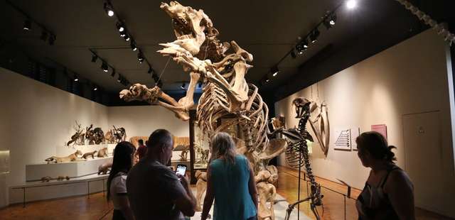 Museu de Zoologia da USP