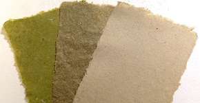 Artista cria escultura de papel a partir de ervas daninhas