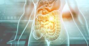 3 frutas populares que ajudam a prevenir problemas no intestino