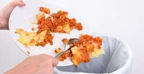 Foto: (Imagem sem texto alternativo disponivel ID [1603048])