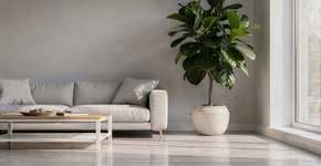 Foto: (Imagem sem texto alternativo disponivel ID [2690833])