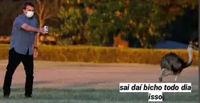 Foto: (Imagem sem texto alternativo disponivel ID [2106825])