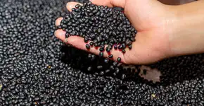 O segredo econômico para perder peso que você provavelmente ignora