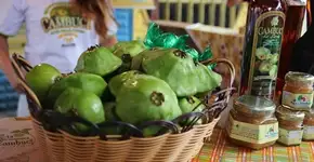 Feira Caminhos do Cambuci reúne delícias derivadas da fruta