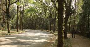 Palestra na USP sobre meio ambiente de São Paulo