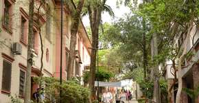 PUC-SP lança Escola de Verão com cursos de tecnologia, diversidade, artes e mais