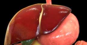 Foto: (magicmine/istock)