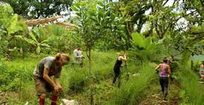 App reúne ecovilas e projetos de permacultura pelo Brasil