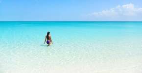 Site vai levar 5 voluntários para experiência única nas Bahamas