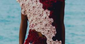 Exposição ‘O Boto’