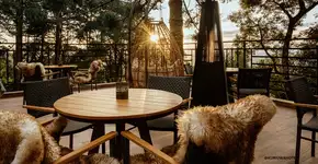 Foto: (Divulgação)