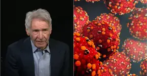 Foto: (reprodução Youtube/Design Cells/istock)