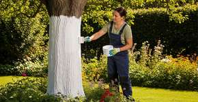 Foto: (Imagem sem texto alternativo disponivel ID [2768398])