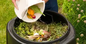 Foto: (Imagem sem texto alternativo disponivel ID [1605025])