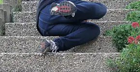 Por que rimos quando alguém cai: a explicação científica por trás desse comportamento curioso