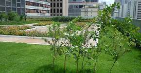 Foto: (Imagem sem texto alternativo disponivel ID [1827319])