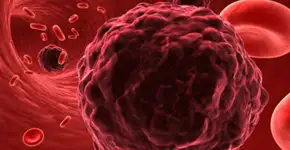 Foto: (Imagem sem texto alternativo disponivel ID [1834471])