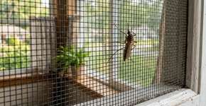 Adeus à teoria do “sangue doce”: um modelo 3D revela que o que atrai mosquitos é a nuvem de CO₂ que você exala e o contraste de cores das suas roupas, e a indústria de armadilhas para mosquitos já está se adaptando rapidamente