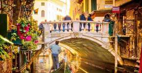 Foto: (Imagem sem texto alternativo disponivel ID [1869789])